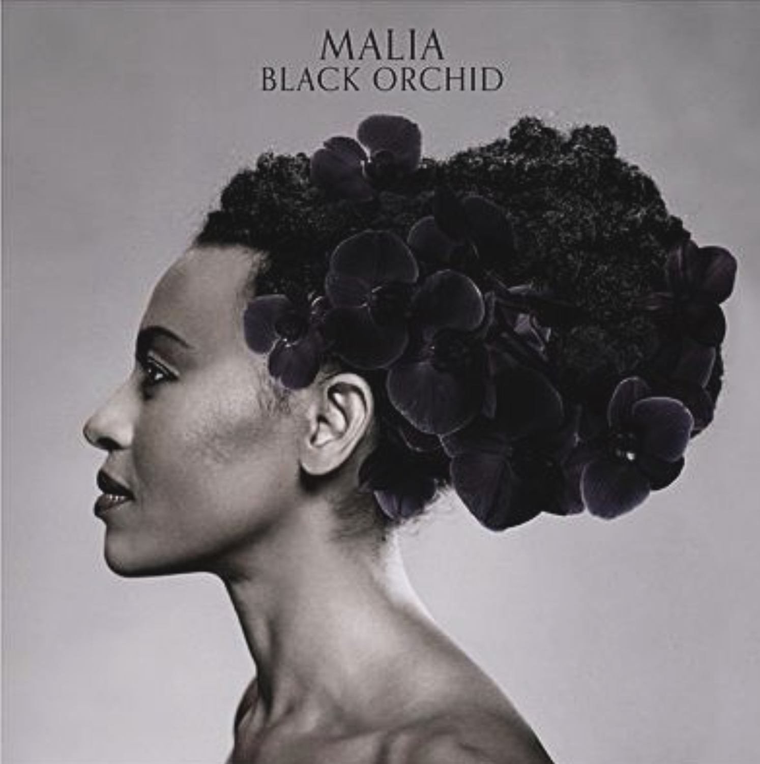 Malia — Black Orchid